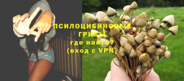 ALPHA-PVP Алексеевка